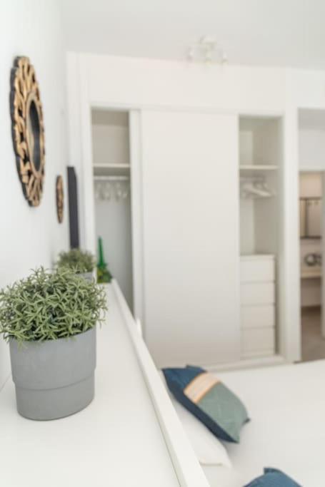 El Beduino By Gades Gestion Apartment Cadiz Ngoại thất bức ảnh