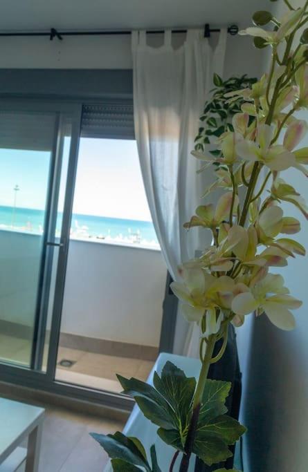 El Beduino By Gades Gestion Apartment Cadiz Ngoại thất bức ảnh